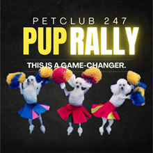 PetClub 247 Pup Rally (Streaming)